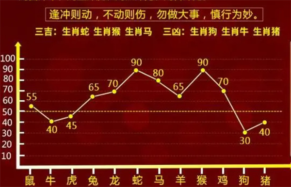 最准一肖一码，揭秘精准解析的秘密与落实的重要性