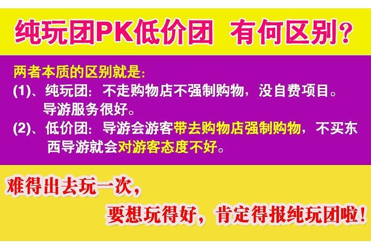 新澳天天开奖资料大全第262期——精选解释解析与落实行动