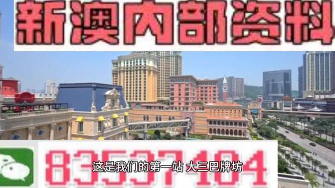 2024新澳正版免费资料大全——精选解释解析落实