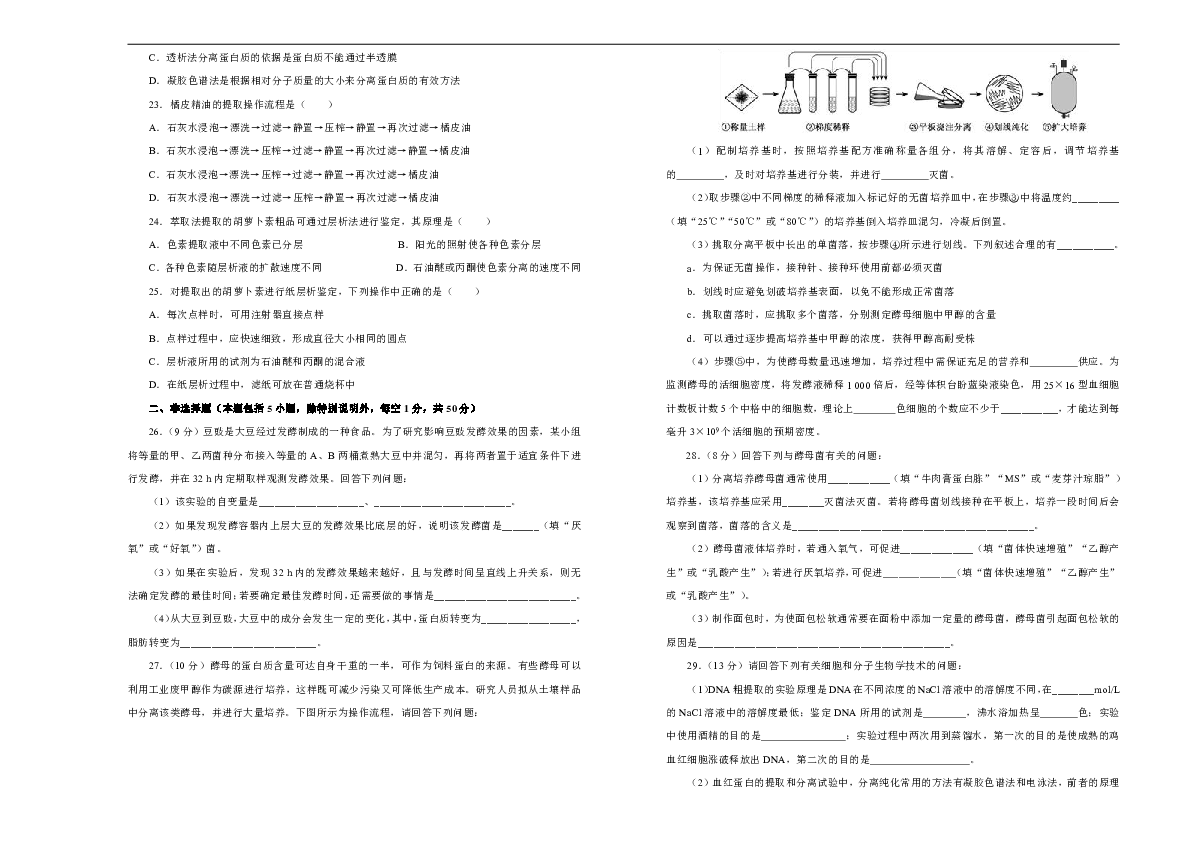 澳门正版资料大全免费歇后语——精选解释解析落实