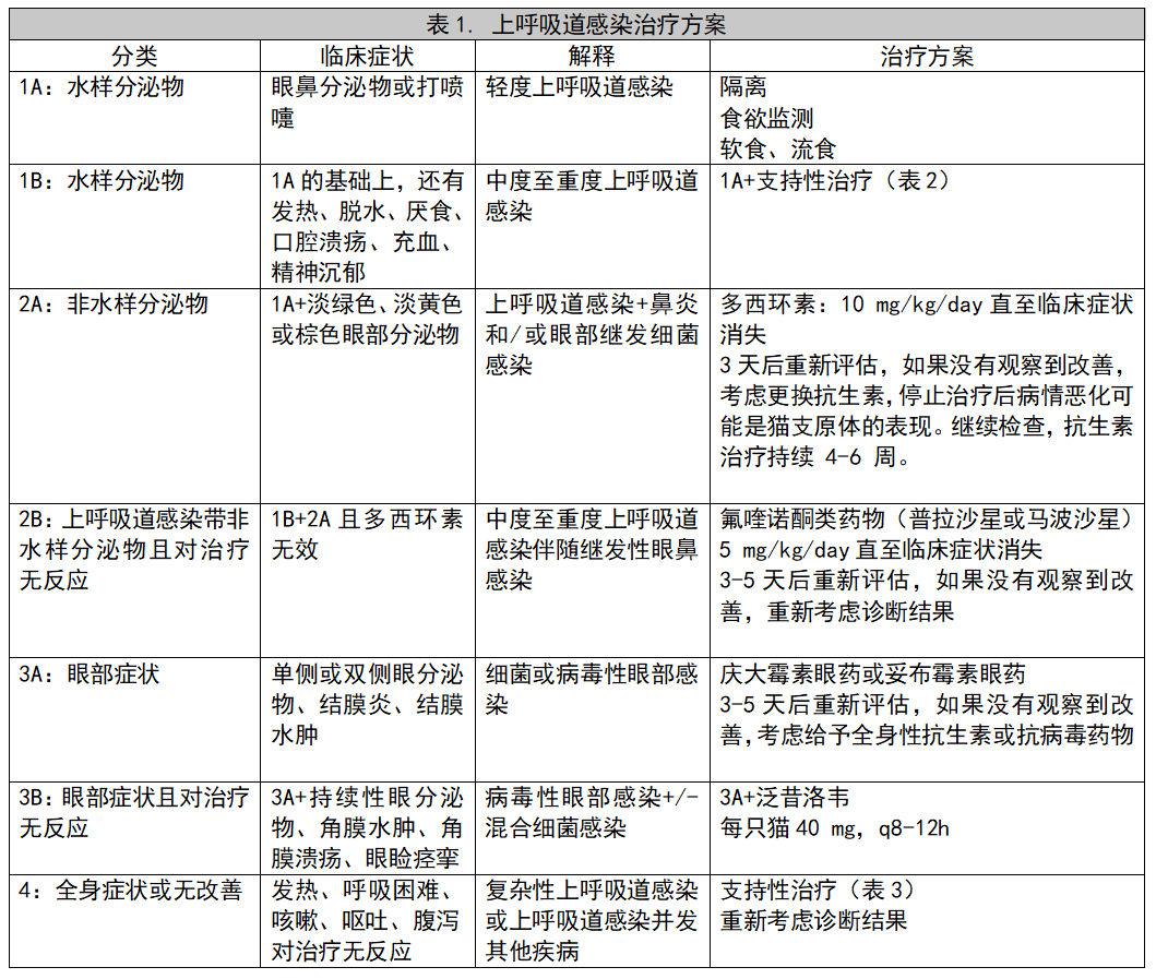 新澳王中王资料大全，精选解释与解析，落实策略的重要性