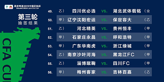 揭秘2024新澳三期必出一肖——深度解析与落实策略