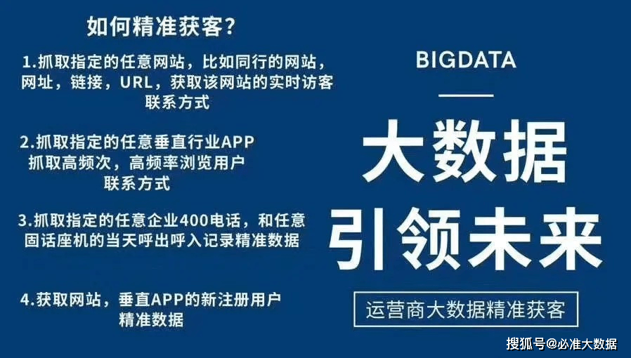 精准跑狗图，深度解析与落实策略