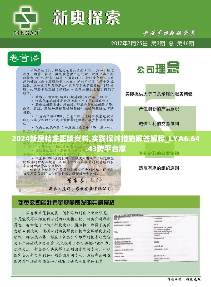 55123新澳精准资料查询——精选解释解析落实详解