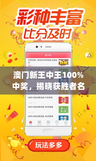 澳门王中王100%期期中一期——精选解释解析落实策略与启示