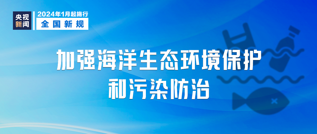 新澳正版免费资料解析与落实——迈向成功的关键步骤