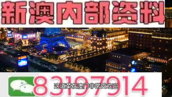 2024新澳免费资料大全精准版——精选解释解析落实策略